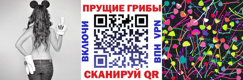 наркошоп  Сураж  МЕГА вход  Галлюциногенные грибы прущие грибы 